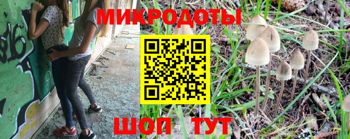 Камень-на-Оби  Псилоцибиновые грибы Magic Shrooms  Вход с VPN 